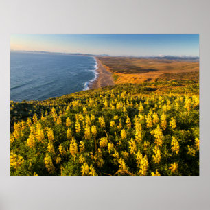 Affiche Point Reyes National Seashore Californie
