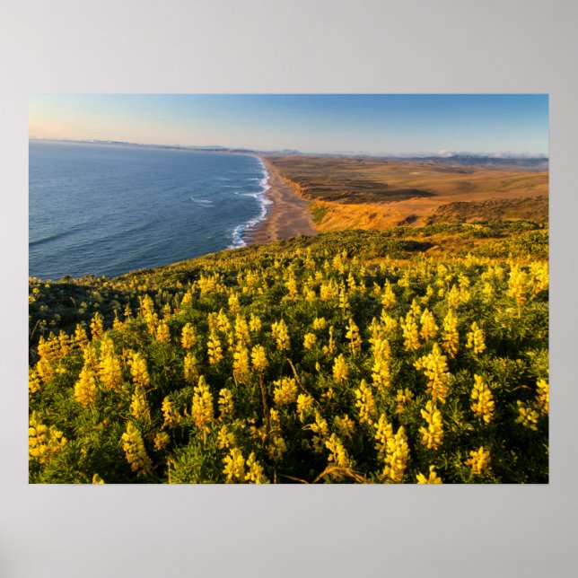 Affiche Point Reyes National Seashore Californie (Devant)