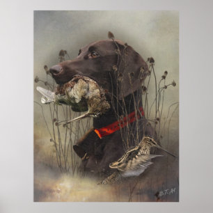 Affiche Pointer allemand à poil court