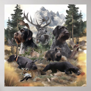 Affiche Pointeur À poils durs allemand