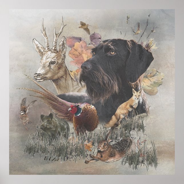 Affiche Pointeur À poils durs allemand (Devant)