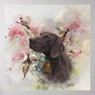 Affiche Pointeur court allemand