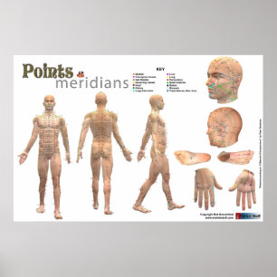 Affiche Points and meridians of the body - Annotated