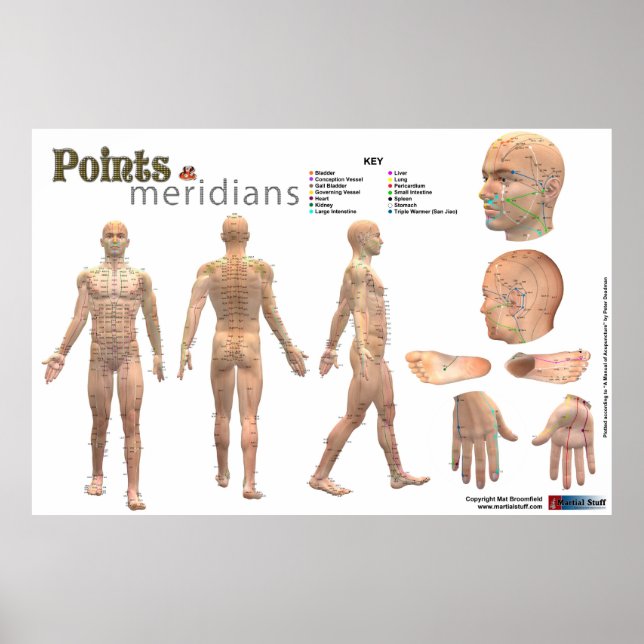 Affiche Points and meridians of the body - Annotated (Devant)