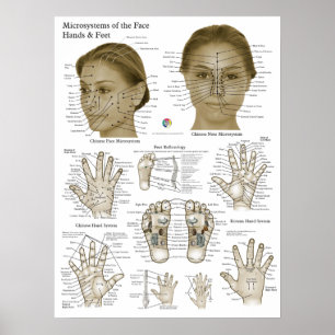 Affiche Points d'acupression Visage Main Pieds