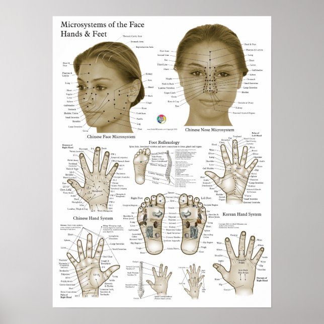Affiche Points d'acupression Visage Main Pieds (Devant)