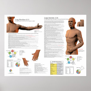 Affiche Points d'acupuncture du méridien du poumon