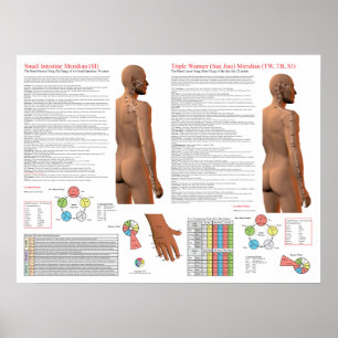 Affiche Points d'acupuncture du méridien TW Meridian