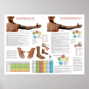 Affiche Points du méridien du cœur en acupuncture