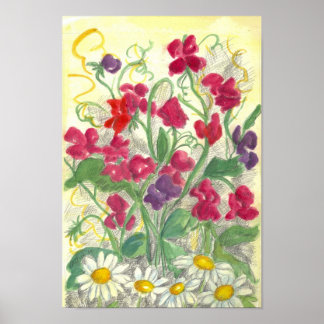 Affiche Pois doux rouge Daisy Aquarelle Jardin Dessin