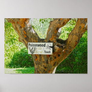 Affiche Poisonwood Tree Warning Sign
