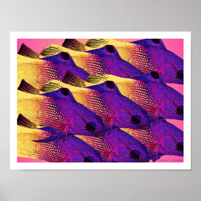 Affiche 'Poisson 6.2' (Devant)