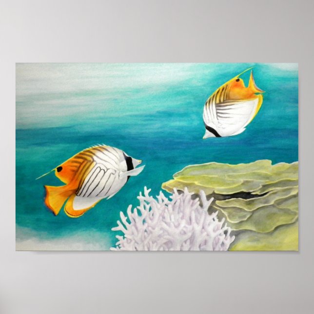 Affiche Poisson ange (Devant)