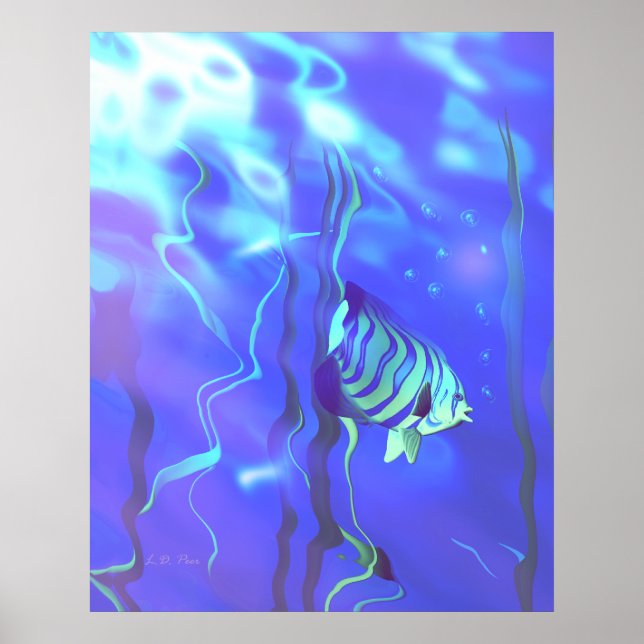 Affiche Poisson-ange Bleus (Devant)