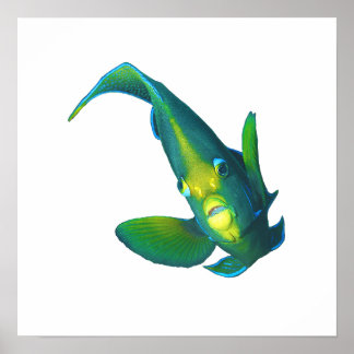 Affiche Poisson ange - Conception abstraite - Découpé d'un
