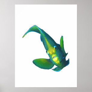 Affiche Poisson ange - Conception abstraite - Découpé d'un