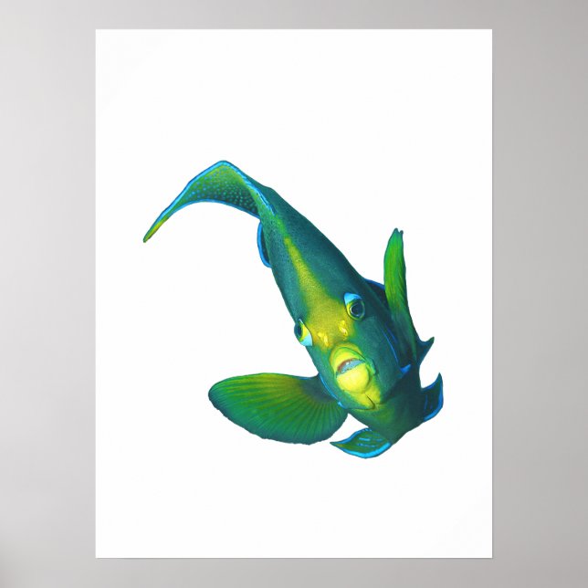 Affiche Poisson ange - Conception abstraite - Découpé d'un (Devant)