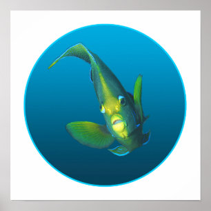 Affiche Poisson-ange - Design sur arrière - plan bleu dégr