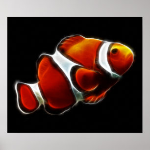 Affiche Poisson clown tropical orange