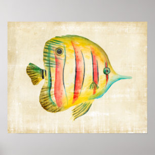Affiche Poisson coloré