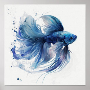Affiche Poisson combattant bleu avec nageoires de style aq