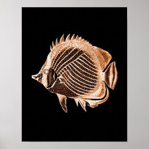 Affiche Poisson côtier mer mer mer noir