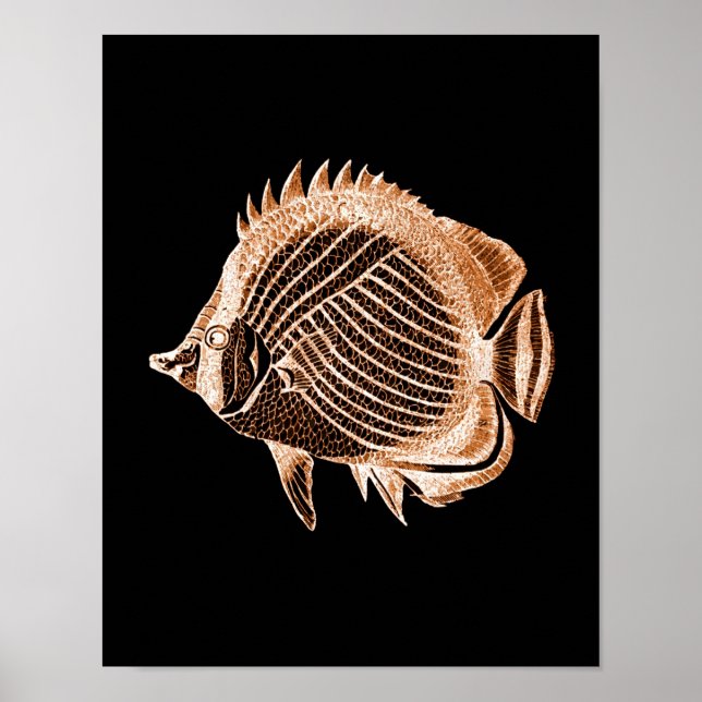 Affiche Poisson côtier mer mer mer noir (Devant)