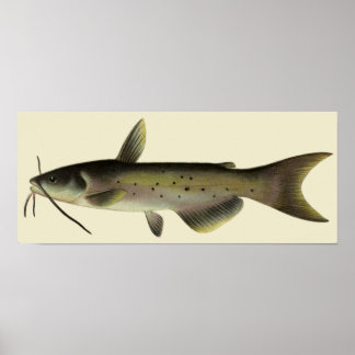 Affiche Poisson de poisson vintage, Vie marine