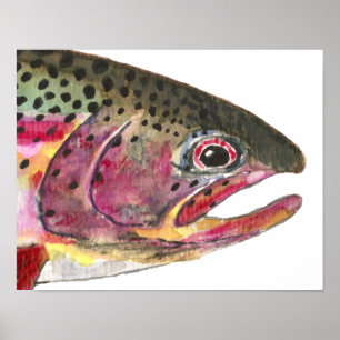 Affiche Poisson de truite arc-en-ciel