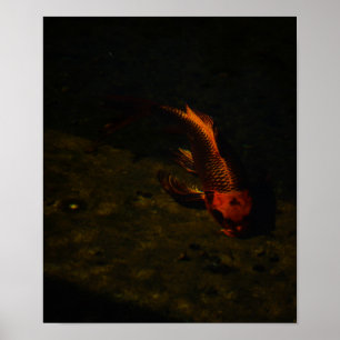 Affiche poisson d'or