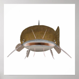 Affiche Poisson en tête de papier - Poisson