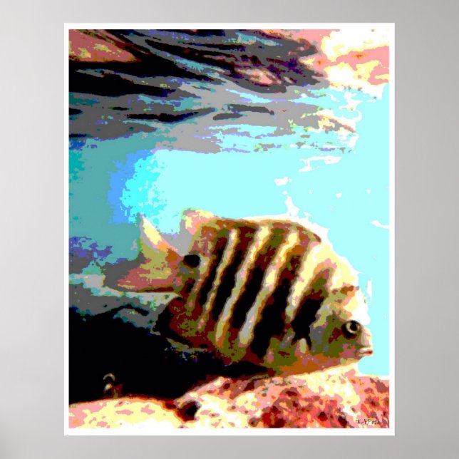 Affiche Poisson hawaïen (Devant)