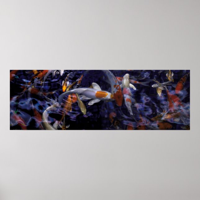 AFFICHE POISSON KOI AU-DESSUS DU FLUX #2 (Devant)