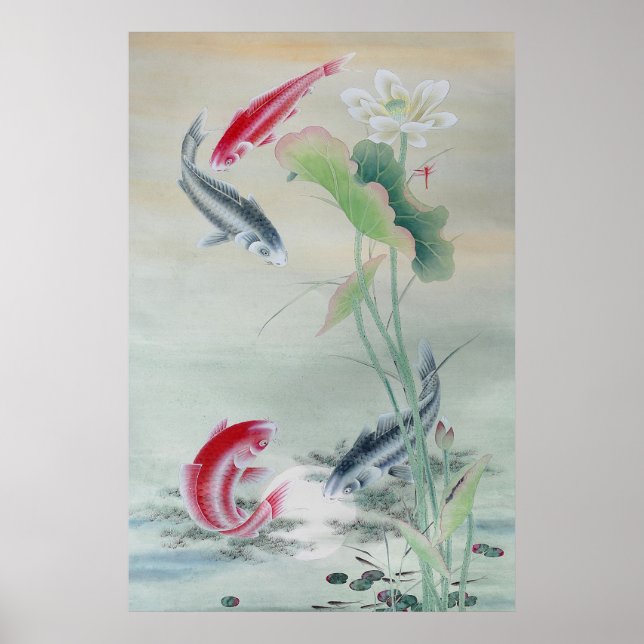 Affiche Poisson Koi avec Lotus (Devant)