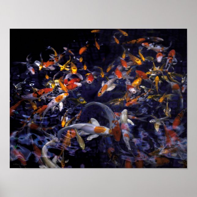AFFICHE POISSON KOI EN FLEURS (Devant)
