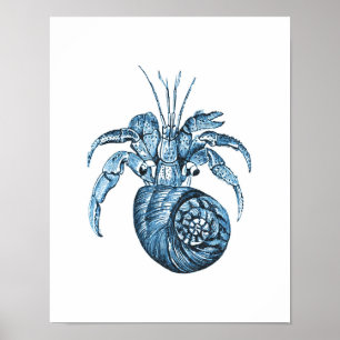 Affiche Poisson littoral mer mer bleu marine mer