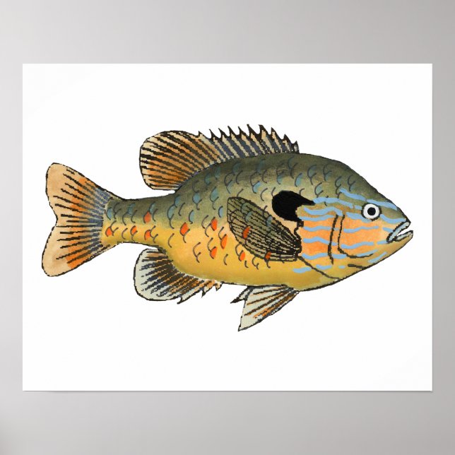 Affiche Poisson long (Devant)
