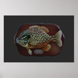 Affiche Poisson long