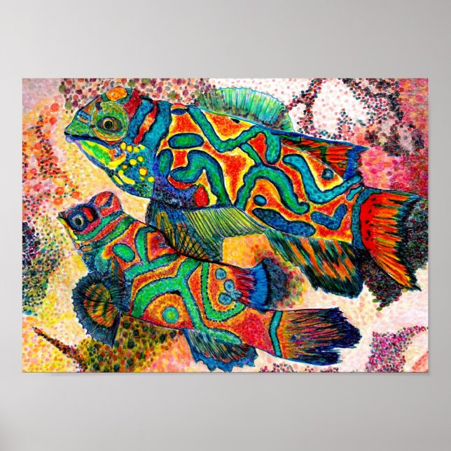 Affiche Poisson mandarin - aquarelle (Devant)