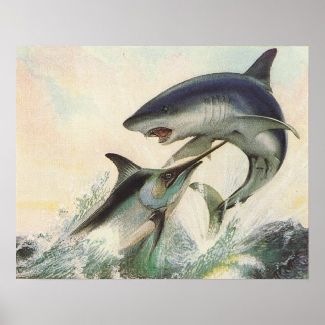 Affiche Poisson - Marlin noir et requin Mako (Devant)