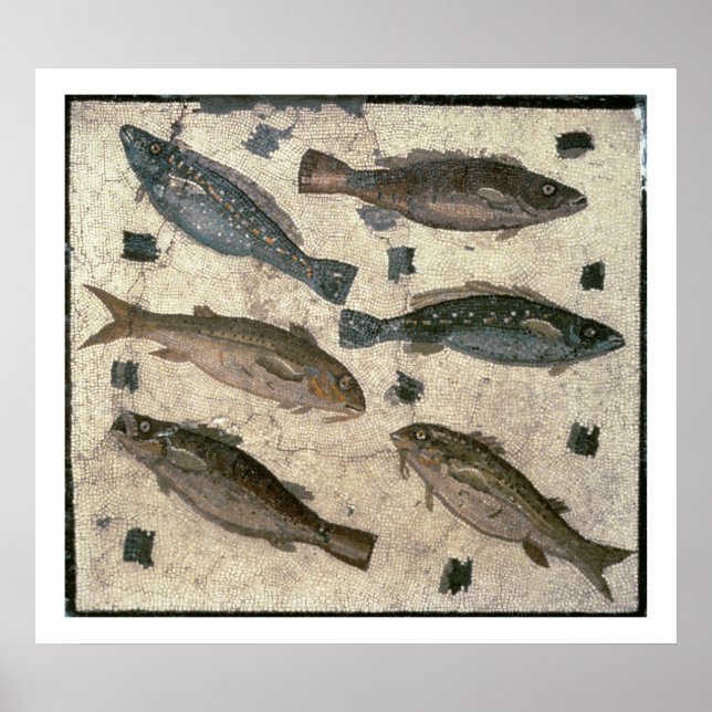 Affiche Poisson (mosaïque) (Devant)
