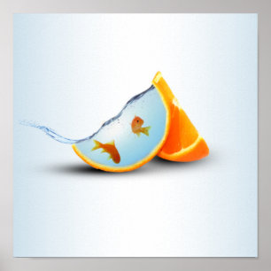 Affiche Poisson orange et rouge