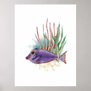 Affiche Poisson pourpre et or Aquarelle simple
