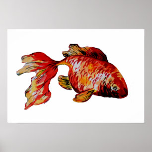 Affiche Poisson rouge