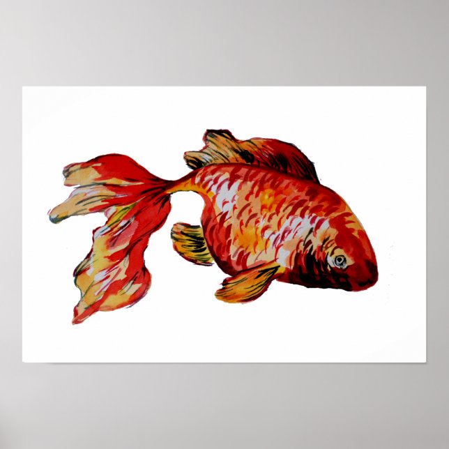 Affiche Poisson rouge (Devant)