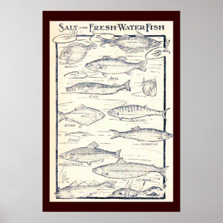 Affiche Poisson salé et d'eau douce