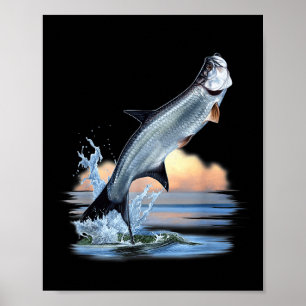 Affiche Poisson tarpon eau douce chasse pêche faune A