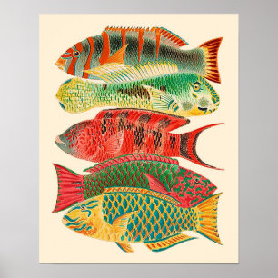 Affiche poisson tropical vintage