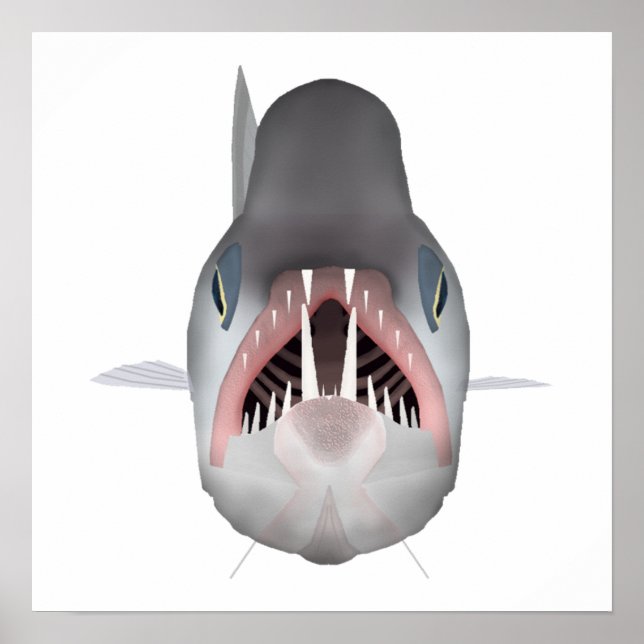 Affiche Poisson Vampire - Tête de poisson (Devant)