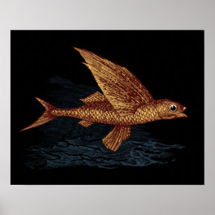 Affiche Poisson volant